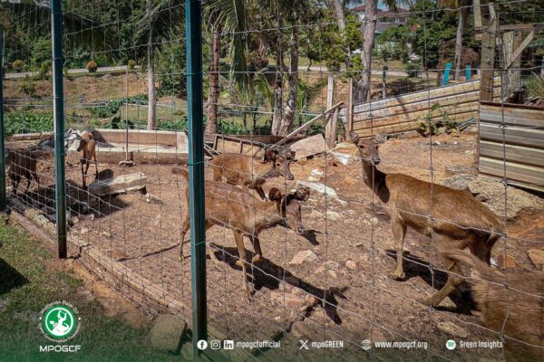 670897873_1265339405792465_5450206969444743814_n