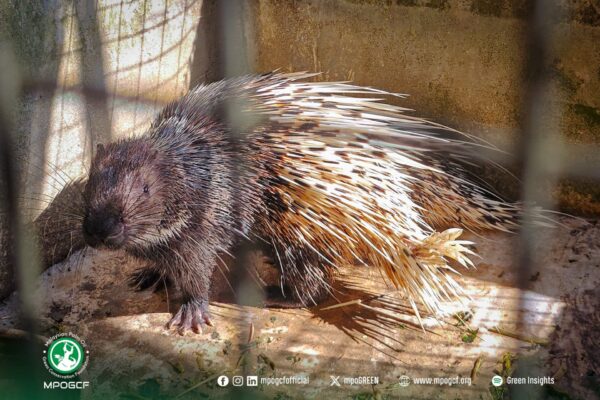 671514494_1265339395792466_7817355543116820467_n