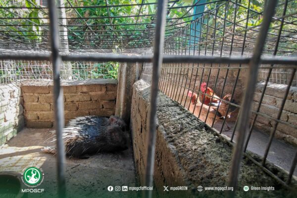 671970738_1265339485792457_4145738608457049153_n