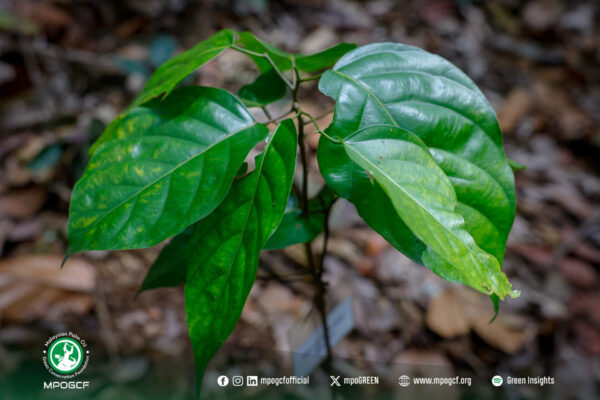 680384732_1274848208174918_7006090565568883358_n