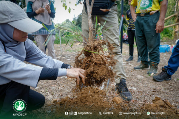 681089798_1274848488174890_5305451959510555221_n