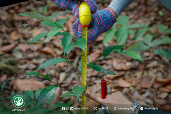 682443479_1274848118174927_6464999731367003384_n