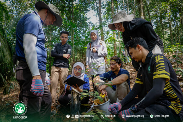 682455264_1274854818174257_7509392414036693229_n