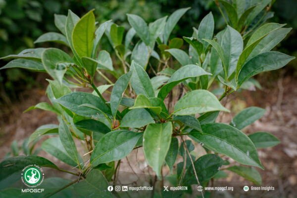 684824864_1274855261507546_838640473346966924_n